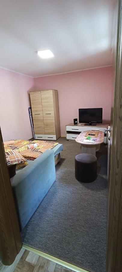 Princips Apartment サラエヴォ 部屋 写真